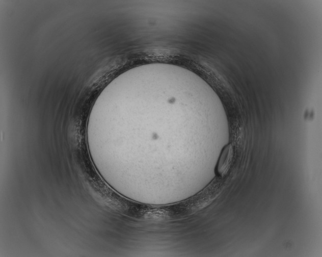 X0000088900599200707061456