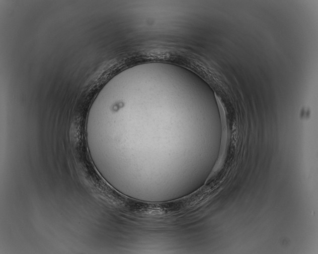 X0000088900600200707061456