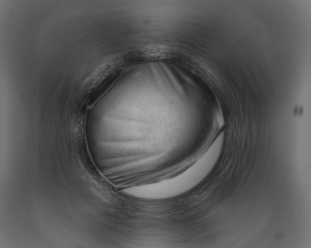 X0000088900601200707061456