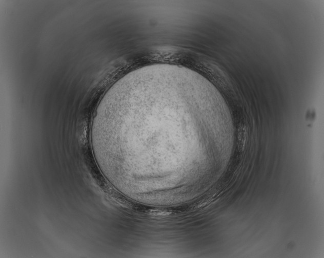 X0000088900602200707061456