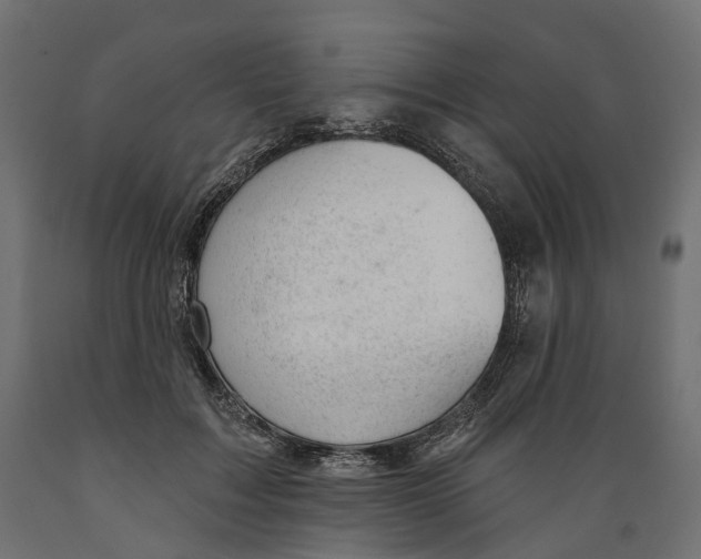 X0000088900603200707061456