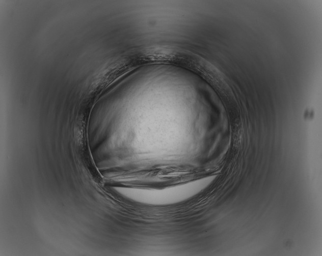 X0000088900604200707061456