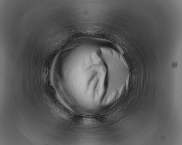 X0000088900605200707061456