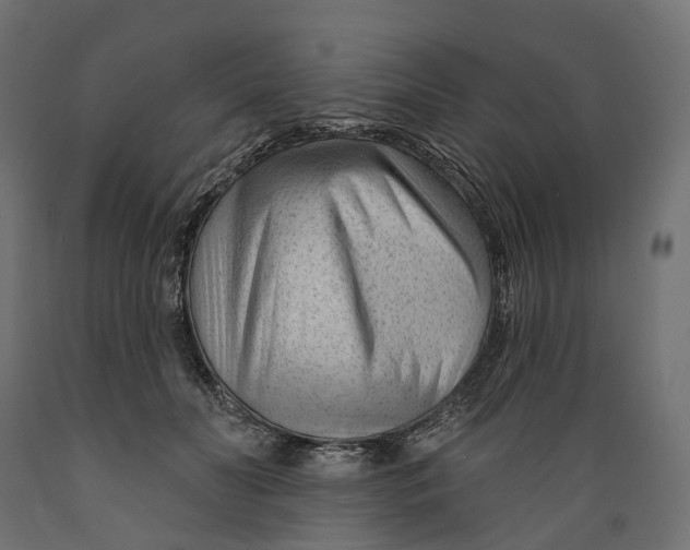 X0000088900606200707061456