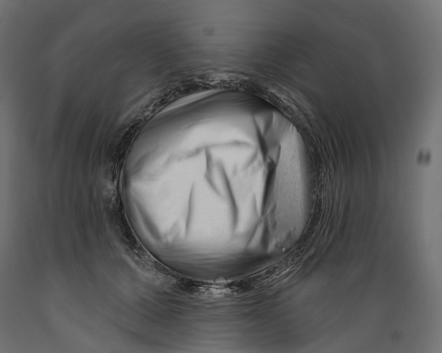 X0000088900607200707061456