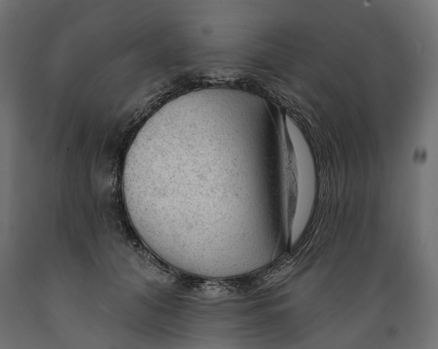 X0000088900608200707061456