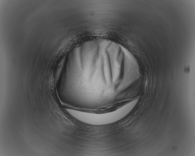 X0000088900609200707061456