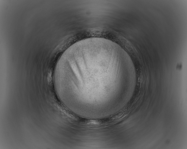 X0000088900610200707061456