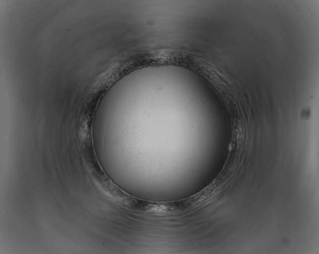 X0000088900611200707061456