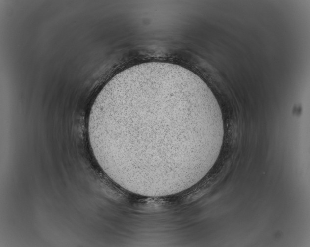 X0000088900612200707061456