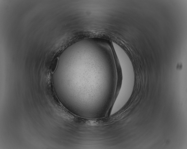 X0000088900613200707061456