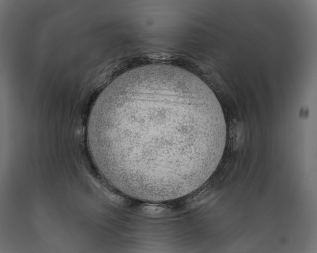 X0000088900614200707061456