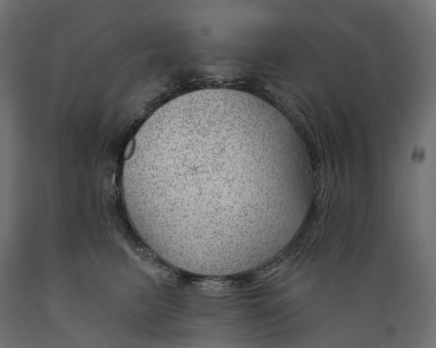 X0000088900615200707061456