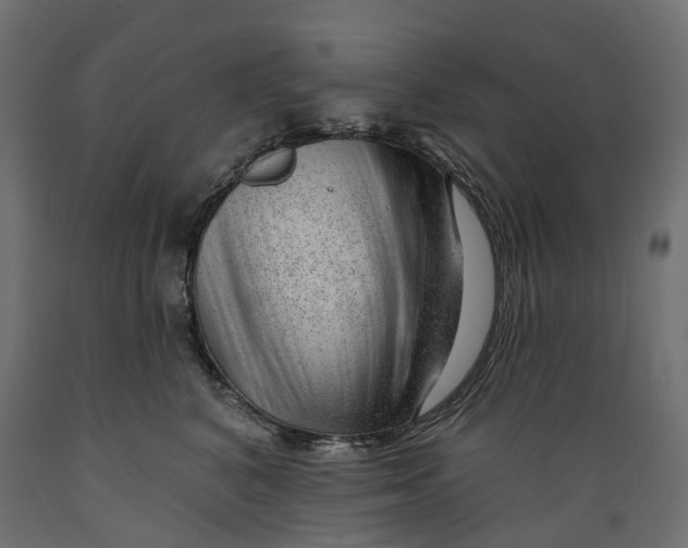 X0000088900616200707061456