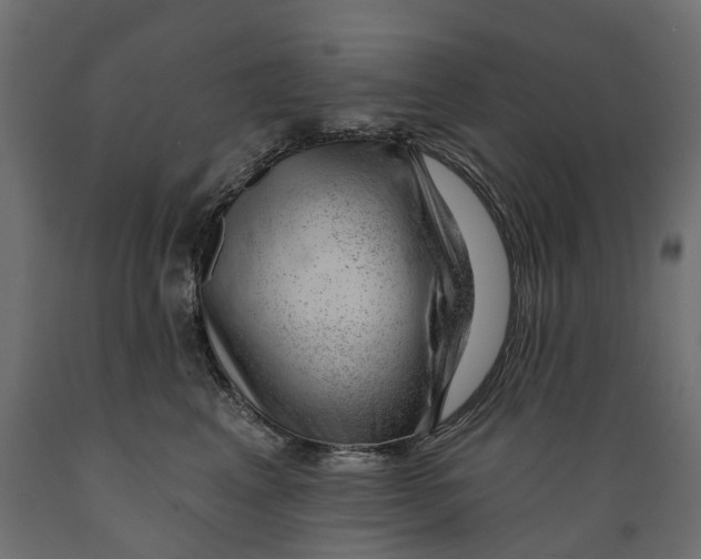 X0000088900617200707061456