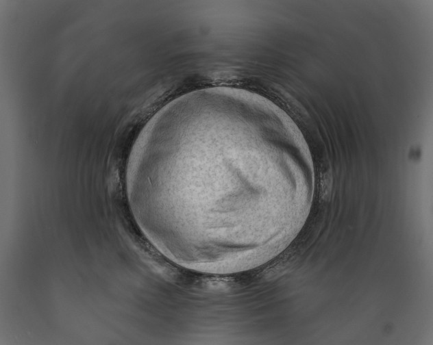 X0000088900618200707061456