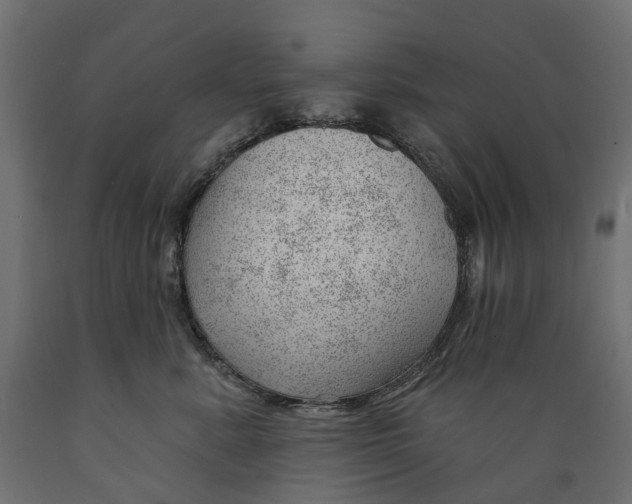 X0000088900619200707061456