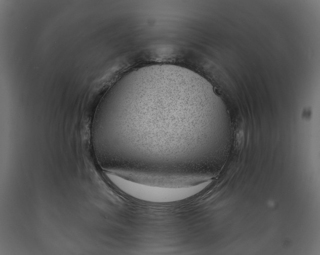 X0000088900620200707061456