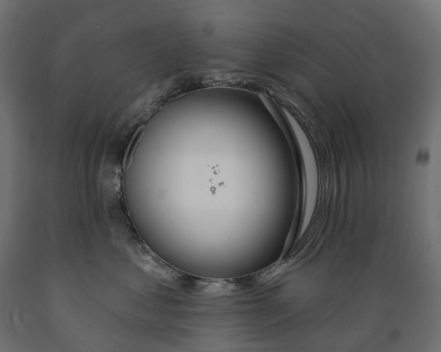 X0000088900621200707061456