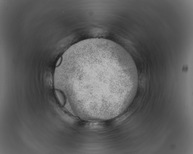 X0000088900622200707061456