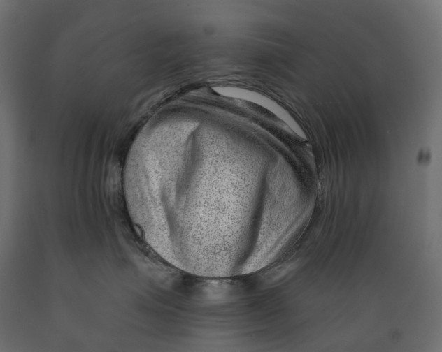 X0000088900623200707061456