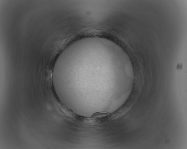 X0000088900624200707061456