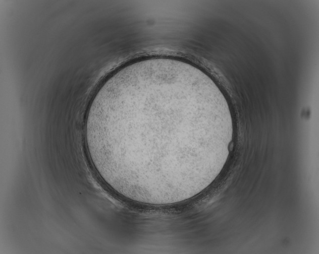 X0000088900625200707061455