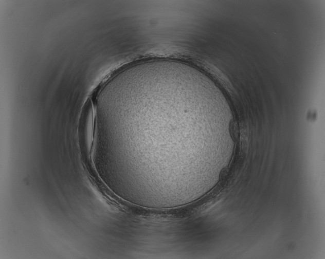 X0000088900626200707061455