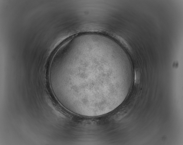 X0000088900627200707061455