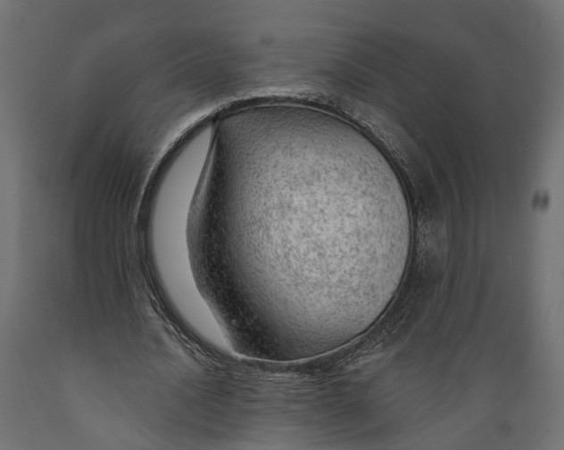 X0000088900628200707061455