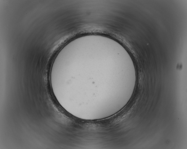 X0000088900629200707061455