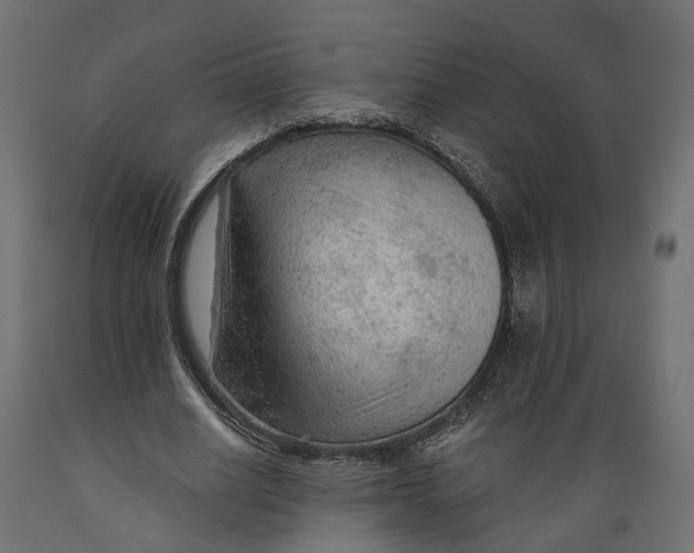 X0000088900630200707061455