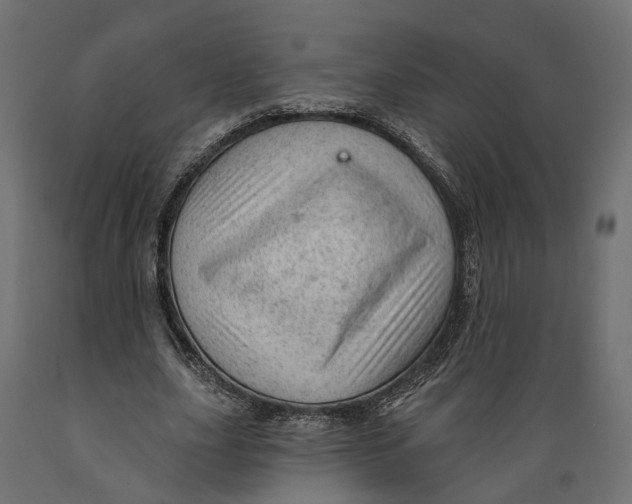 X0000088900631200707061455