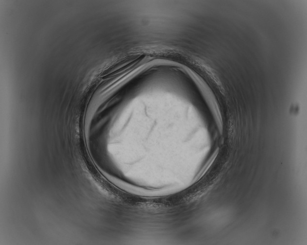 X0000088900633200707061455