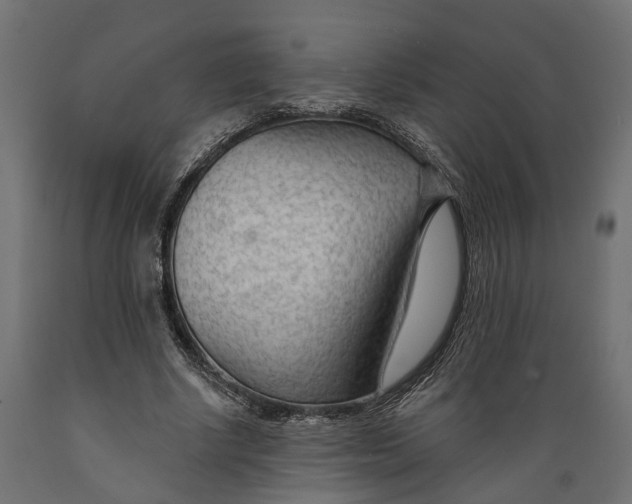 X0000088900634200707061455