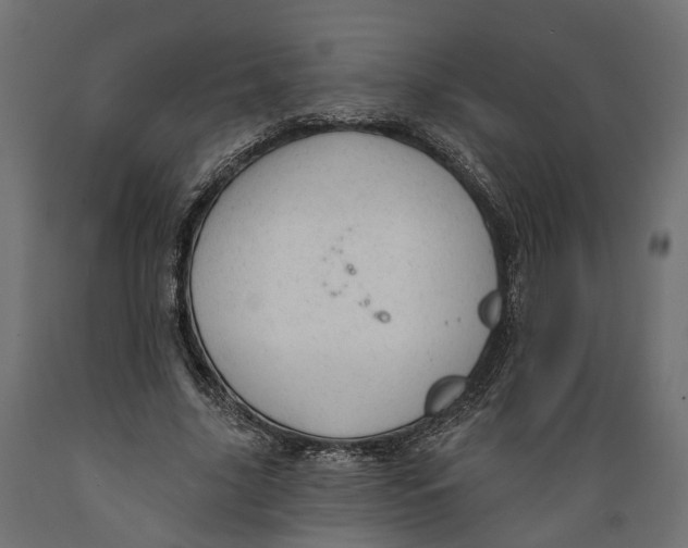 X0000088900635200707061455