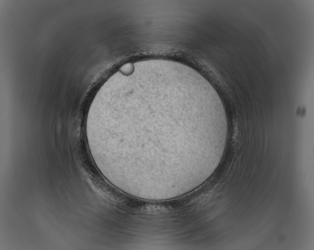 X0000088900636200707061455