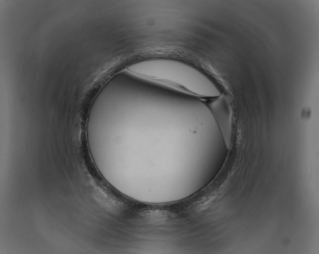 X0000088900637200707061455