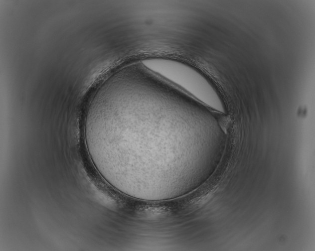 X0000088900638200707061455