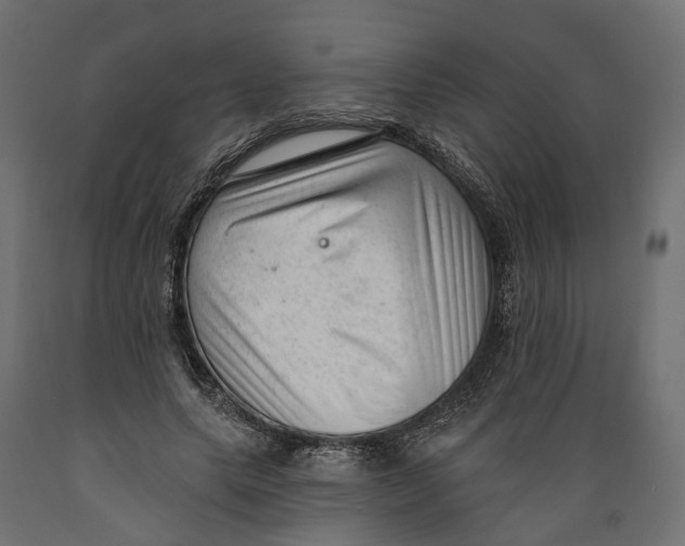 X0000088900639200707061455