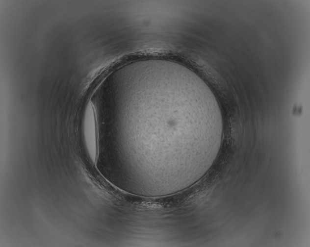 X0000088900640200707061455