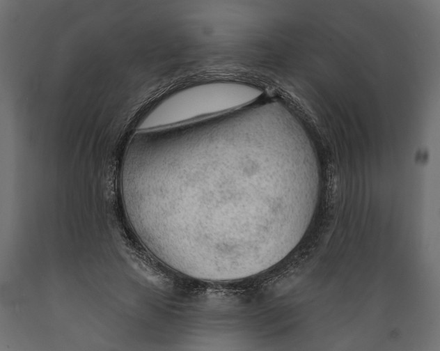 X0000088900641200707061455