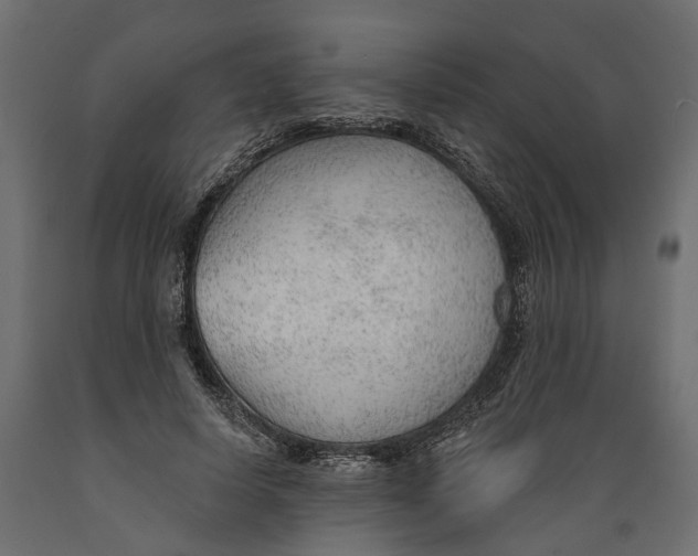 X0000088900642200707061455