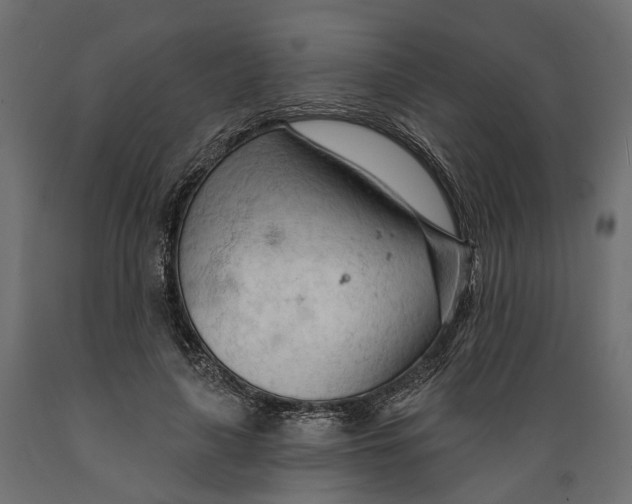 X0000088900643200707061455