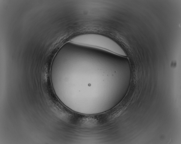 X0000088900644200707061455