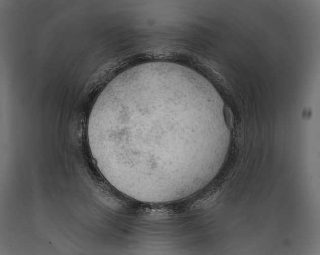 X0000088900645200707061455