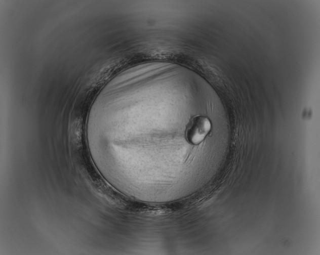 X0000088900646200707061455