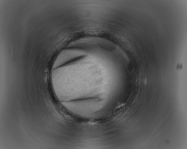 X0000088900647200707061455