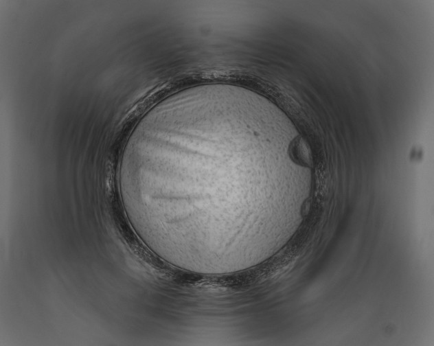 X0000088900648200707061455