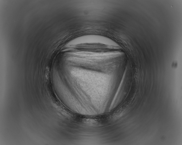 X0000088900649200707061455